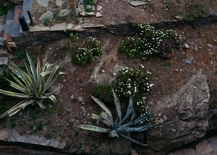 リャネ プティ ホテル カダケス